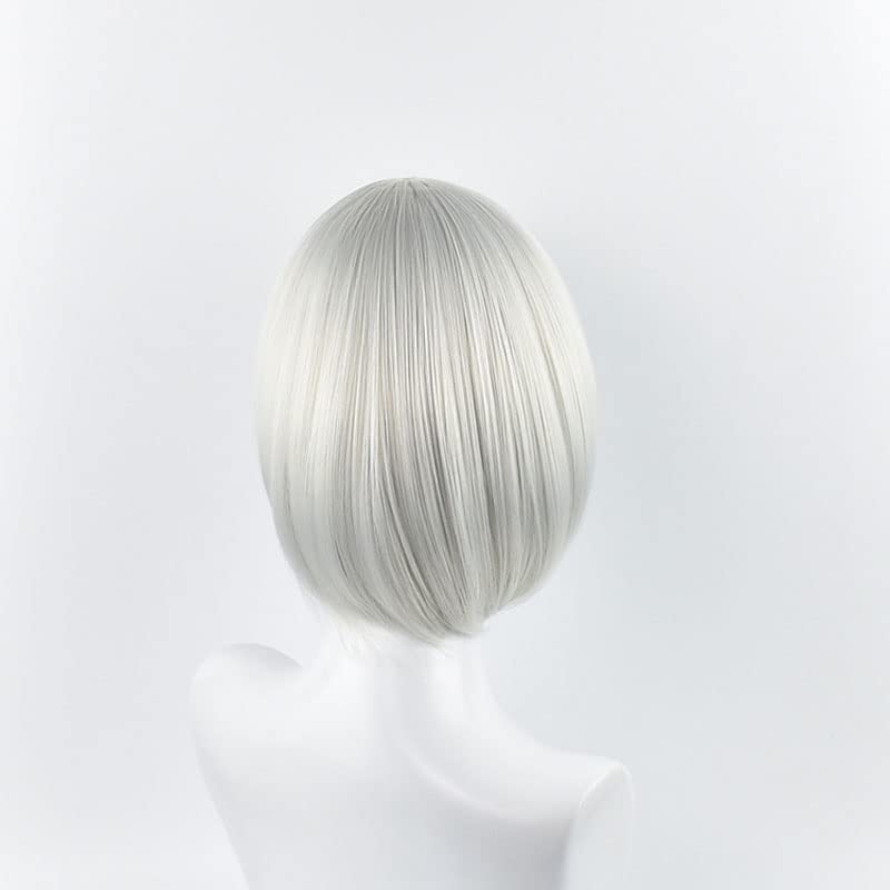 Wig Cosplay Perak Pendek untuk - Men'S Accessories Types ulasan dan harga