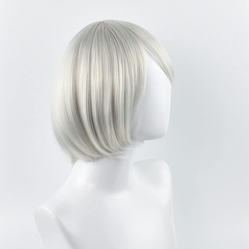 Wig Cosplay Perak Pendek untuk - Men'S Accessories Types ulasan dan harga