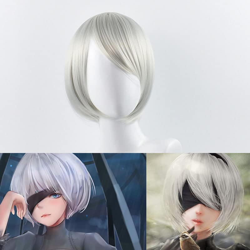Wig Cosplay Perak Pendek untuk - Men'S Accessories Types ulasan dan harga